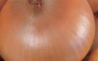 БОРОДКОВСКИЙ