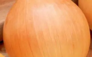 СОХАЧЕВСКА