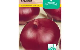 АЛЬВИНА