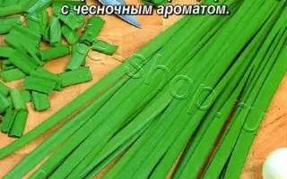 КЛАДЕЗЬ ЗДОРОВЬЯ