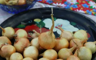 ЛЕГЕНДА СИБИРИ