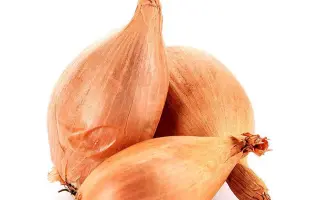 СЕВЕРНЫЙ БЛЮЗ