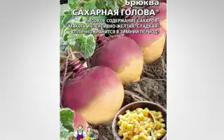 САХАРНАЯ ГОЛОВА