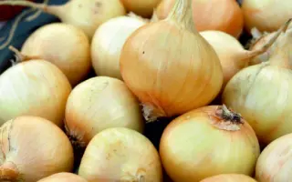 САНЬКИНА ЛЮБОВЬ