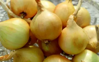 ГОРДОСТЬ СИБИРИ