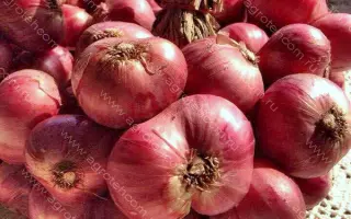 ВИШНЕВЫЙ САД