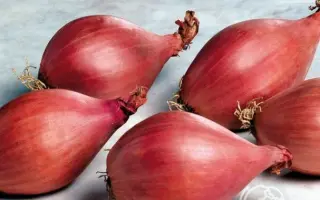 КРАСНООБСКИЙ