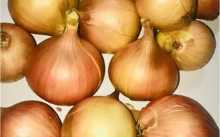 ЛЮБИМЕЦ УРАЛА