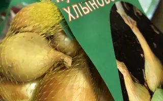 ХЛЫНОВСКИЙ