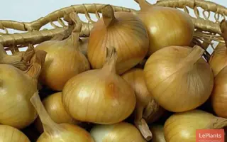 МЕЖСЕЗОНЬЕ