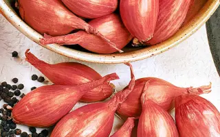 МАКАРЬЕВСКИЙ