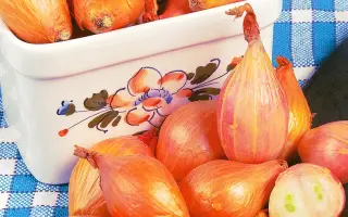 МОНАСТЫРСКИЙ