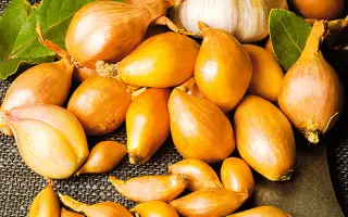 УРАЛЬСКИЙ 40