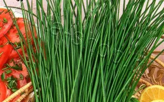 ВИТАМИННЫЙ СНОП