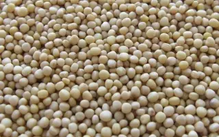 ПРИМОРСКАЯ 13