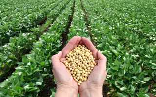 ПРИМОРСКАЯ 301