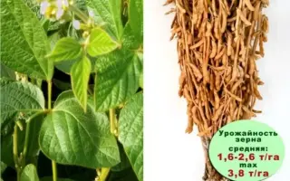 БЕЛГОРОДСКАЯ 8