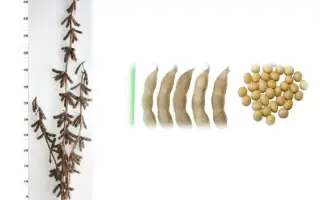 ПРИМОРСКАЯ 96