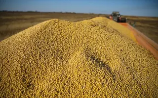 ПРИМОРСКАЯ 81