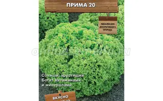 ПРИМА 20