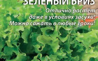 ЗЕЛЕНЫЙ БРИЗ