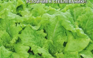 КАРАМЕЛЬКА