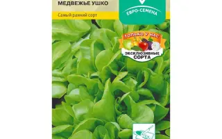 МЕДВЕЖЬЕ УШКО