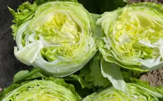 ДЖАСПЕРИНАС