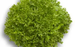 ЭКСПЕРТАЙЗ