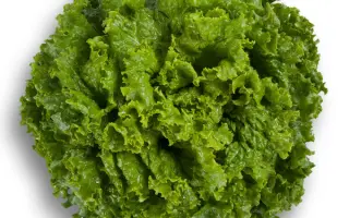 СТАРФАЙТЕР