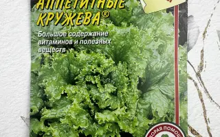 АППЕТИТНЫЕ КРУЖЕВА