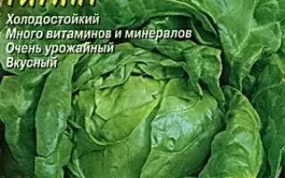 ИЗУМРУДНЫЙ ГИГАНТ