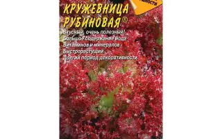 КРУЖЕВНИЦА РУБИНОВАЯ