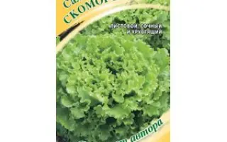 СКОМОРОХ