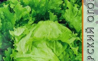 ГРЕЙТ ЛАЙКС 659