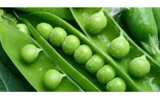 ВОЛОГОДСКИЙ УСАТЫЙ