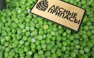 НОВОСИБИРСКАЯ 1