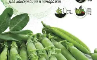 СИБИРСКИЙ БОГАТЫРЬ