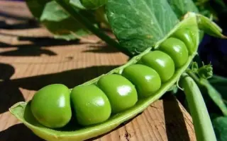 НАРЫМСКИЙ 11