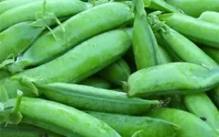 ОРЛОВЧАНИН