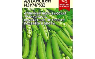 АЛТАЙСКИЙ УНИВЕРСАЛЬНЫЙ