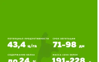 НЕМЧИНОВСКИЙ 100