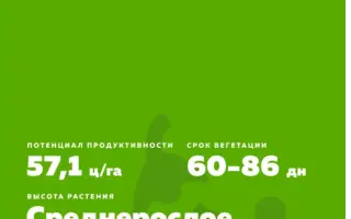КРАСНОУФИМСКИЙ 93