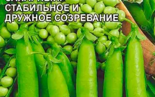 ЖЕГАЛОВА 112