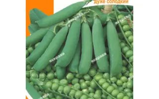 АДАГУМСКИЙ