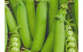 РАННЕЕ ЛАКОМСТВО