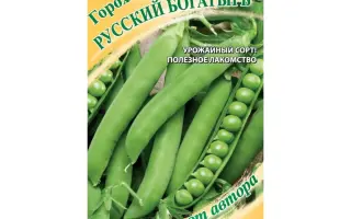 РУССКИЙ БОГАТЫРЬ