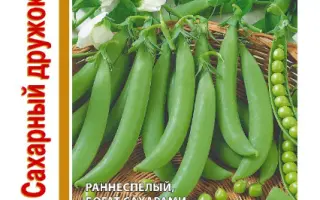 САХАРНЫЙ ДРУЖОК