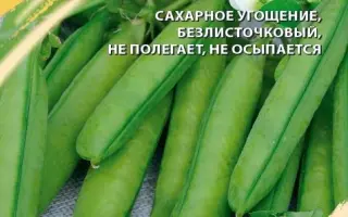 ЛАКОМКА