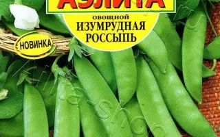 ИЗУМРУДНАЯ РОССЫПЬ